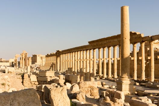 Palmyre Syria 2009 This ancient site has many Roman ruins, these standing columns shot in late afternoon sun with the citadel on the hill in the background . High quality photo