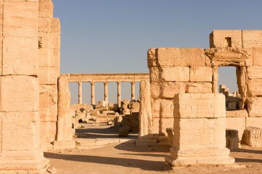 Palmyre Syria 2009 This ancient site has many Roman ruins, these standing columns shot in late afternoon sun with the citadel on the hill in the background . High quality photo