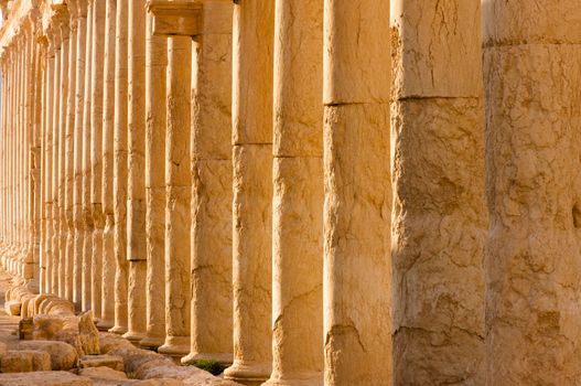 Palmyre Syria 2009 This ancient site has many Roman ruins, these standing columns shot in late afternoon sun with the citadel on the hill in the background . High quality photo