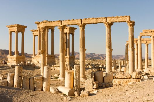 Palmyre Syria 2009 This ancient site has many Roman ruins, these standing columns shot in late afternoon sun with the citadel on the hill in the background . High quality photo