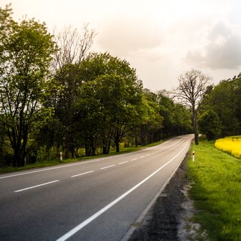 Country road in summer field. Sky with clouds in background. Yellow flowers in meadow and green trees along route. Car travel.