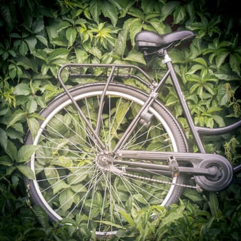 Bicycle with green foliage in background. Sweden, Scandinavia, Europe