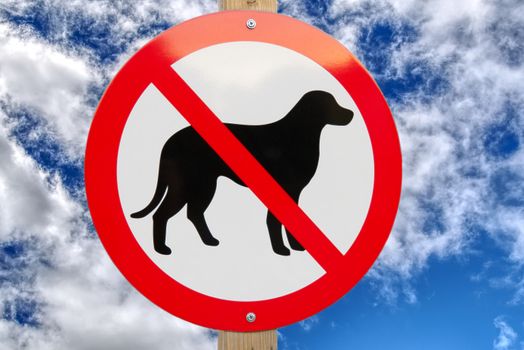 No dog sign blue cloudy sky. no pets allowed concept