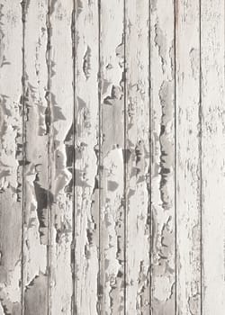 abstract pattern of old white cracked paint on vertical wooden planks