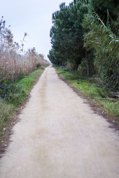 No one in a rural path on the park