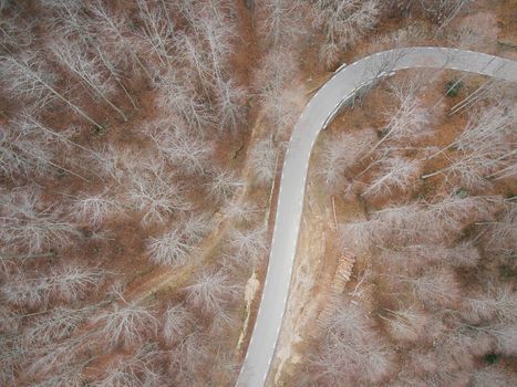 Beautiful Aerial view of  an empty road in the forest