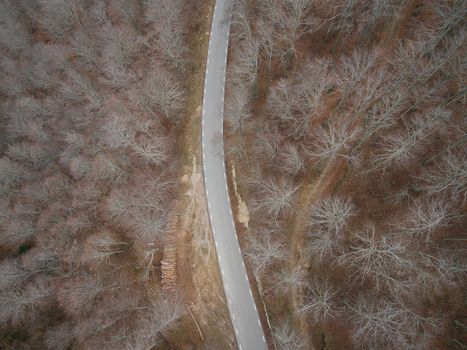 Beautiful Aerial view of  an empty road in the forest