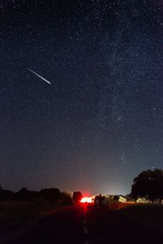 perseids in the pasture of extremadura 2020