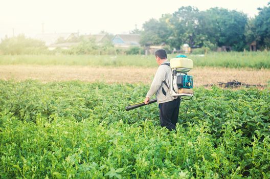 A farmer with a mist sprayer blower processes the potato plantation from pests and fungus infection. Protection and care. Use chemicals in agriculture. Agriculture and agribusiness. Harvest processing