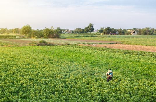 Farmer with a mist sprayer blower processes the potato plantation. Protection and care. A lot of work reduces productivity. Use of industrial chemicals to protect crops from insects and fungi.