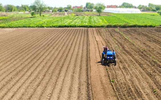 Farmer on a tractor drives on a farm field. Agriculture and agribusiness. Growing vegetables. Processing and transformation of soil for agricultural needs. Improving the quality of the land