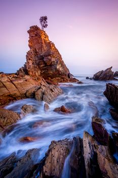 Solitary lone tree on a rock stands firm against the elements, and  turbulent water flowing beneath it