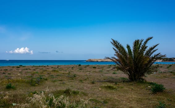 Rocky beach on the Mediterranean coast on the Akamas Peninsula on the island of Cyprus.