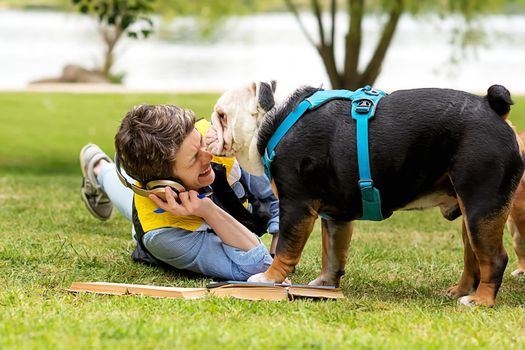 Woman lying on green grass and studying online with a dog