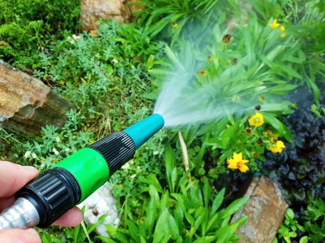 Closeup of plastic garden hose spraying water on flower bed, watering the garden.