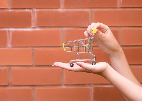 woman holding on palm shoping trolley against brick wall