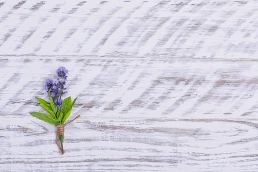 posy of lavender on wooden background