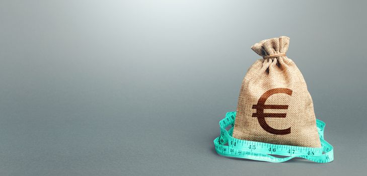 Euro money bag and measuring tape meter. Analysis of the economic situation. Assessment of capital. Formation and optimization of the budget, savings. Declaration of income, illegal enrichment.