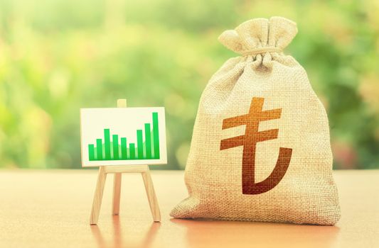 Turkish lira money bag and easel with green positive growth graph. Economic development. Business sentiment. High deposits profitability. Recovery and growth of economy, good investment attractiveness