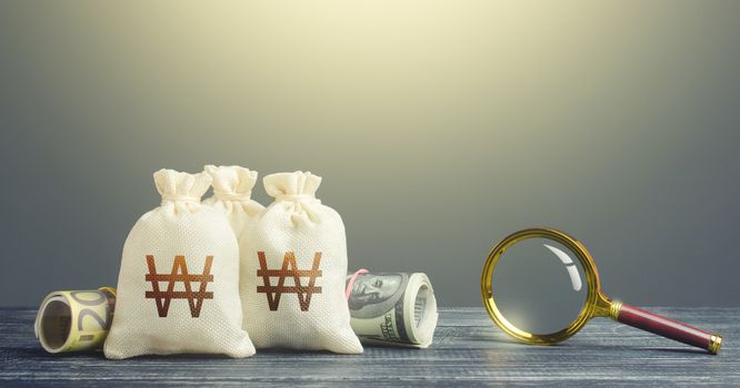 South korean won money bags and magnifying glass. Finding financial resources, fund projects. Budget revision. Monitoring of suspicious transactions, cash flows, the legality of the origin of capital.