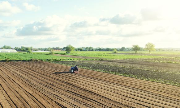 A farm tractor cultivates the soil in the field after harvest. Development of agricultural technologies. Loosening, improving soil quality. Food vegetable production. Sowing campaign