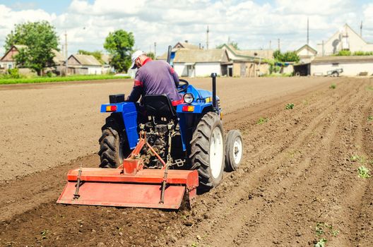 Farmer drives a tractor with a milling machine. Loosens, grind and mix soil on plantation field. Loosening surface, cultivating the land. Farming, agriculture. Field preparation for new crop planting.