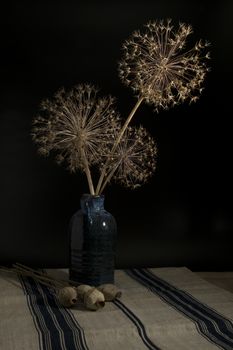 vertical still life of blue vase with dried onion bulb flowers with the seeds in them