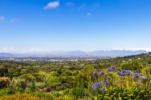 Panoramic view of Cape Town and nature in Kirstenbosch National Botanical Garden, South Africa.