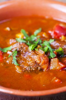 closeup of hungarian goulash stew