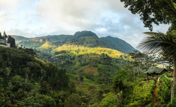 Sri lankan highlands with tea gardens and waterfall in distance, on sunny morning. Ramboda Falls, Sri Lanka