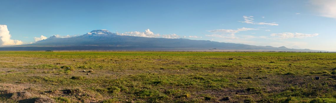 High resolution panorama of Amboseli national park with mount Kilimanjaro and small animals in the background.