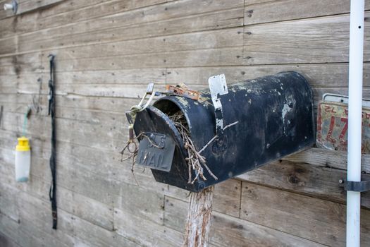 Old Abandoned country mail box with bird nest inside it . High quality photo