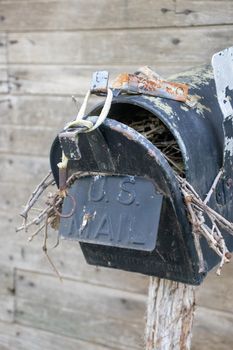 Close up of the front of an Old Abandoned country mail box with bird nest inside it on the side of a shed. High quality photo