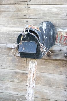 Close up of the front of an Old Abandoned country mail box with bird nest inside it on the side of a shed. High quality photo