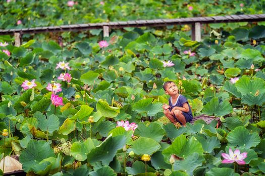 Vietnamese boy playing with the pink lotus over the traditional wooden boat in the big lake at thap muoi, dong thap province, vietnam, culture and life concept