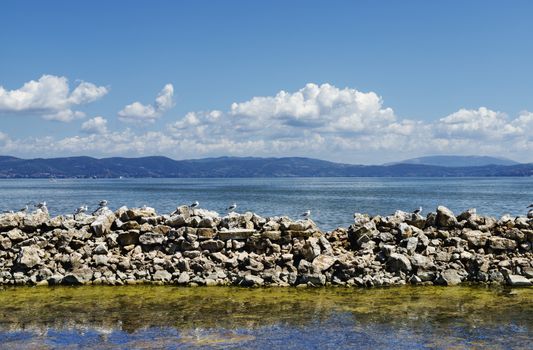 Seagulls on seawall view from shore in the Trasimeno Lake -Italy - , calm water , beautiful water reflections ,in the background mountains