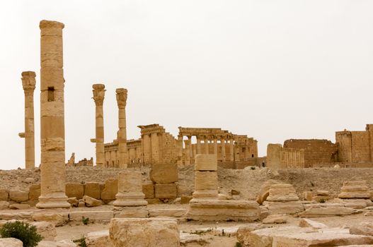 Palmyre Syria 2009 This ancient site has many Roman ruins, the standing columns . High quality photo