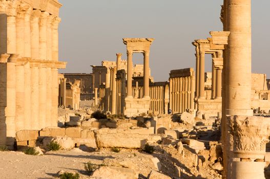 Palmyre Syria 2009 This ancient site has many Roman ruins, these standing columns shot in late afternoon sun tetrapylons . High quality photo