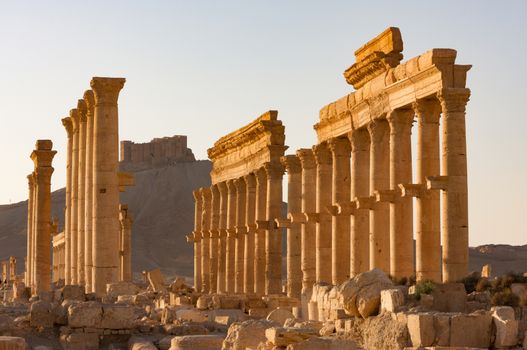 Palmyre Syria 2009 This ancient site has many Roman ruins, these standing columns shot in late afternoon sun with the citadel on the hill in the background . High quality photo