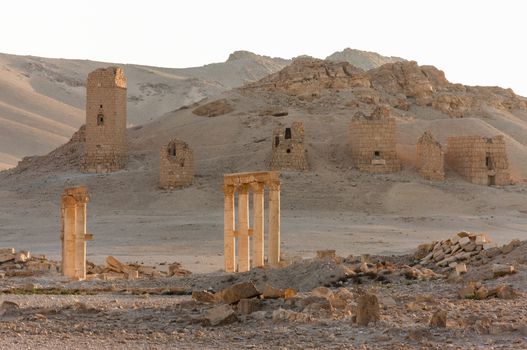 Palmyre Syria 2009 This ancient site has many Roman ruins, these standing columns shot in late afternoon sun with the tower tombs in the background . High quality photo