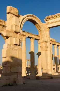 Palmyre Syria 2009 This ancient site has many Roman ruins, these standing columns and arch of triumph shot in late afternoon sun . High quality photo