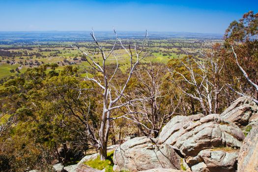 Views around Mt Alexander Regional Park and Dog Rocks near Harcourt on a clear sunny day in the Victorian goldfields, Australia