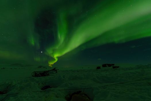 Intense Green Aurora Borealis in Lapland