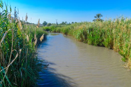 View of Nahal HaKibutzim in the Spring Valley Park (Park Hamaayanot), Northern Israel