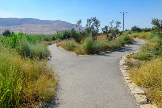 View of a footpath in the Spring Valley Park (Park Hamaayanot), Northern Israel