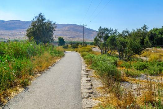 View of a footpath in the Spring Valley Park (Park Hamaayanot), Northern Israel
