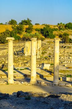 View of remains of the ancient Roman-Byzantine city of Bet Shean (Nysa-Scythopolis), now a National Park. Northern Israel