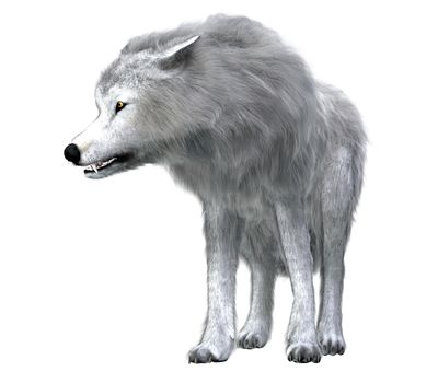 The predatory Dire Wolf prowled the forests of North and South America during the Pleistocene Period.