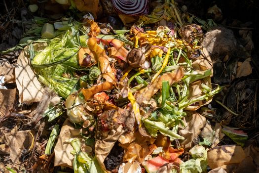 A pile of fresh kitchen waste lies on top of older compost, with bits of fruits and vegetables alongside leaves and other organic material.