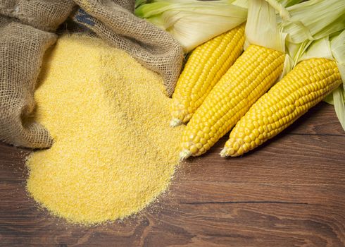 Ripe young sweet corn cob,on left stack cornmeal on wooden background, copy space.Gluten free food concept